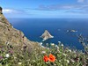Tenerife